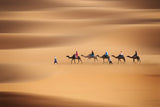 Desert caravan Poster och Canvastavla