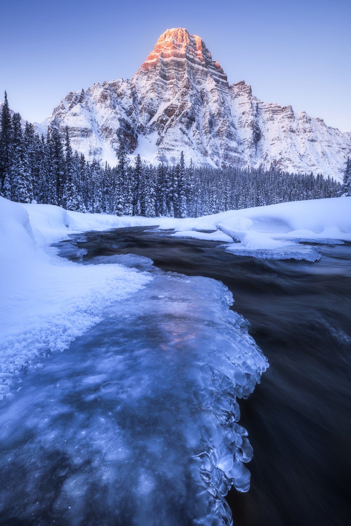 Winter in the Rockies Poster och Canvastavla
