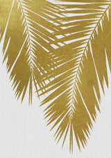 Palm Leaf Gold II Poster och Canvastavla