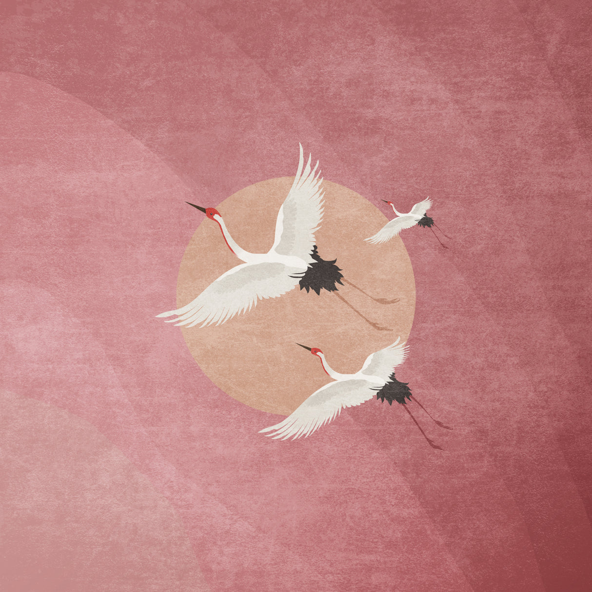 Flying Cranes Poster och Canvastavla