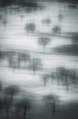 Auspicious snow Poster och Canvastavla