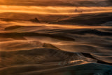 Misty Farmland Poster och Canvastavla