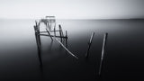 Carrasqueira in Black and White Poster och Canvastavla