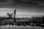 Still in the empty sea Poster och Canvastavla