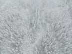 White out Poster och Canvastavla