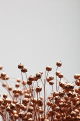 Dried Grass Copper 03 Poster och Canvastavla