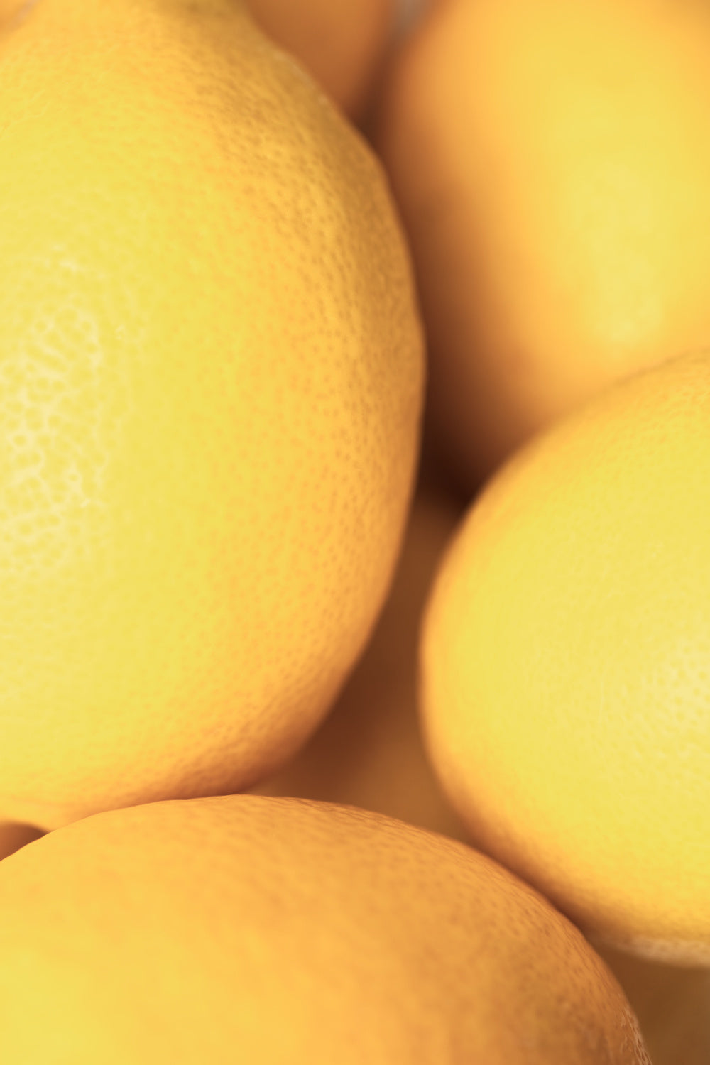 Lemons_2 Poster och Canvastavla