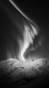 Light chaser Poster och Canvastavla