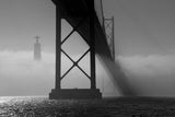 The fallen bridge Poster och Canvastavla