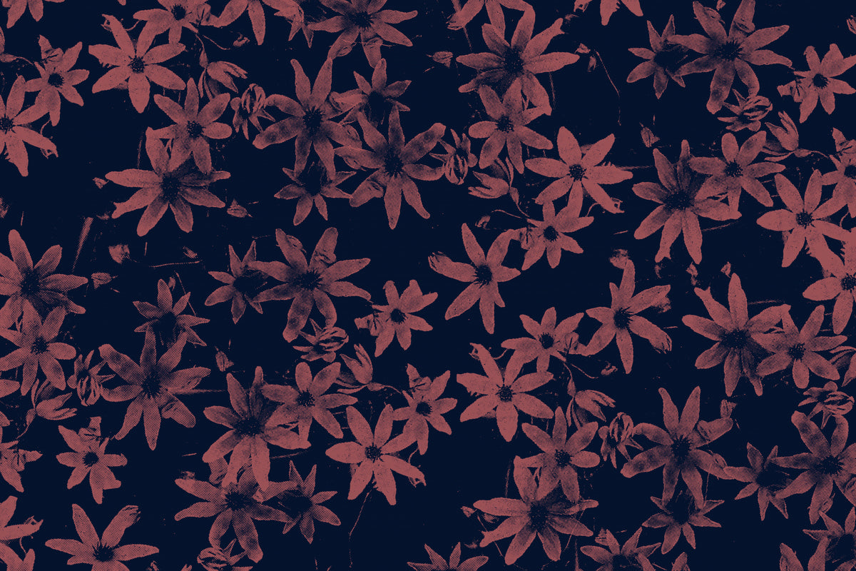 Flowers At Dawn Nº1 Poster och Canvastavla