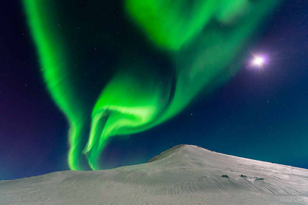 Dancing with the moon Poster och Canvastavla