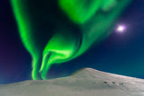 Dancing with the moon Poster och Canvastavla