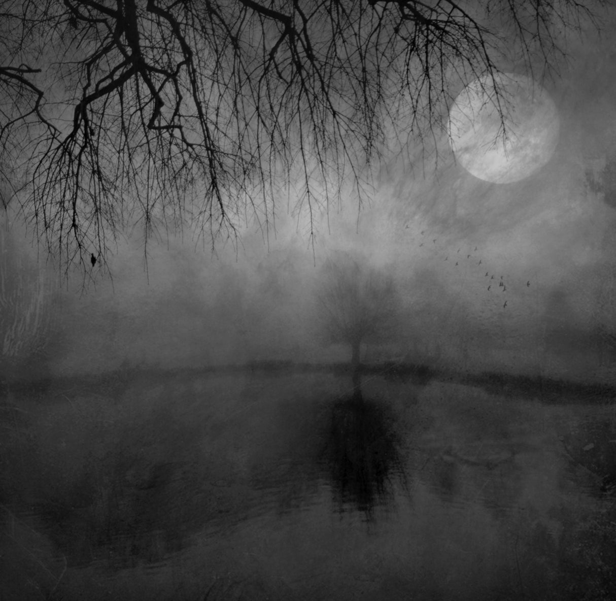 November Moon Poster och Canvastavla