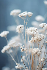 Gentle Blue Mood Poster och Canvastavla