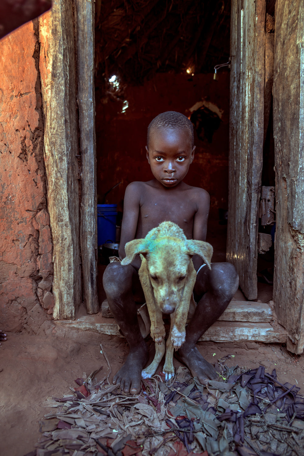 The child and the dog Poster och Canvastavla