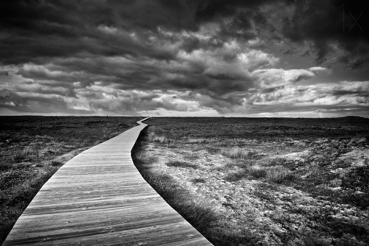 The Way Poster och Canvastavla