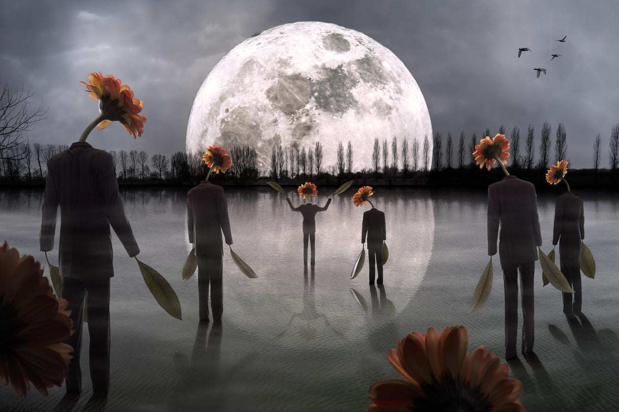 The Mysterious Cult Poster och Canvastavla