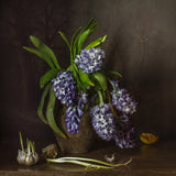 Hyacinths Poster och Canvastavla