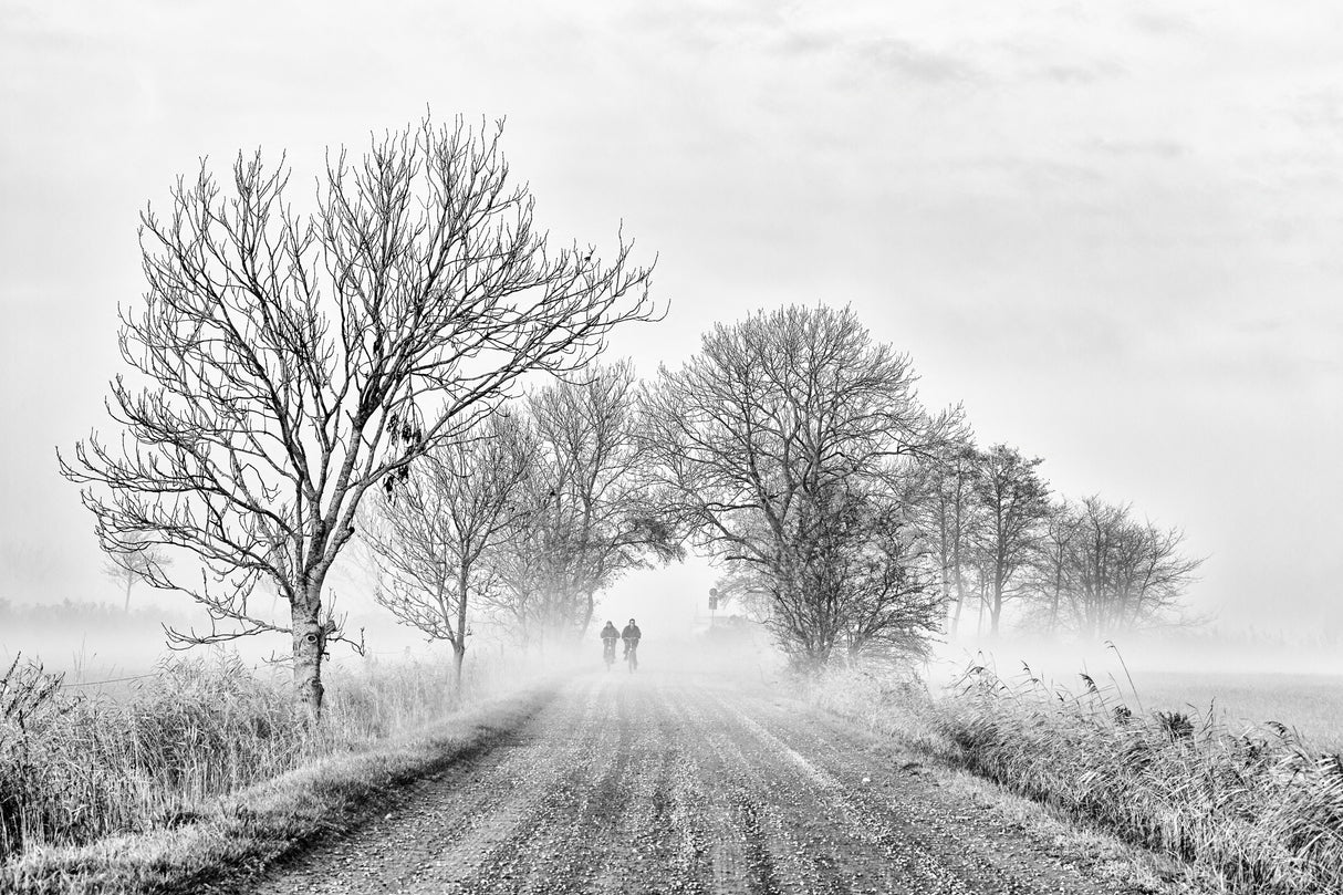 Foggy morning Poster och Canvastavla