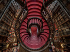 Livraria Lello Poster och Canvastavla