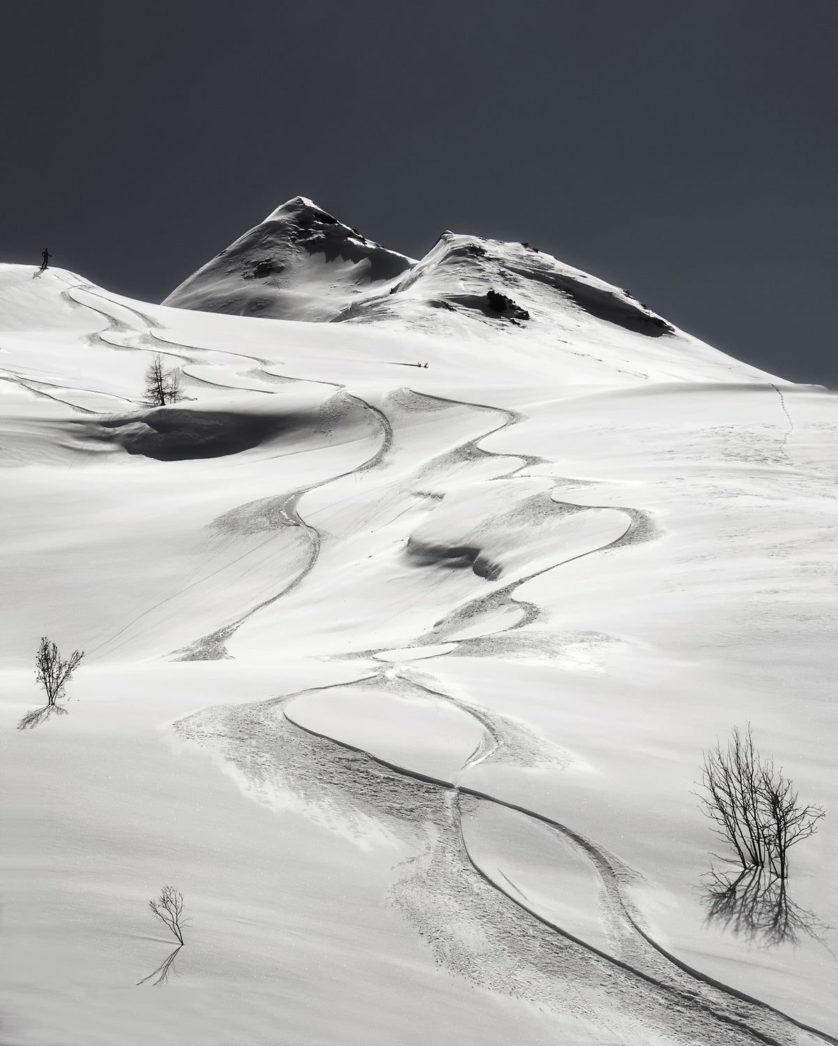 freeride Poster och Canvastavla