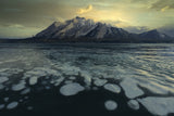 Landscape in Abraham Lake Poster och Canvastavla