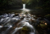 Whispers of water Poster och Canvastavla