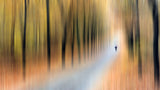 Autumnbiker Poster och Canvastavla