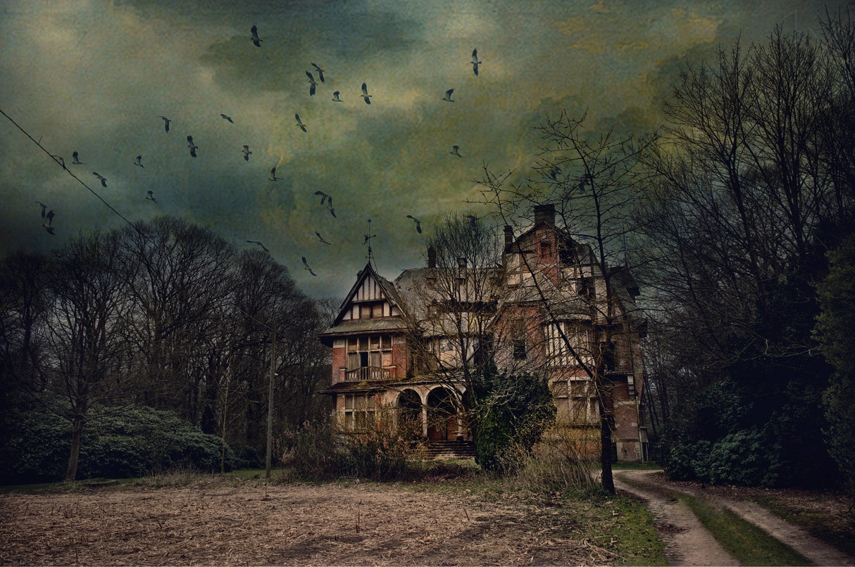 No little house on the prairy Poster och Canvastavla