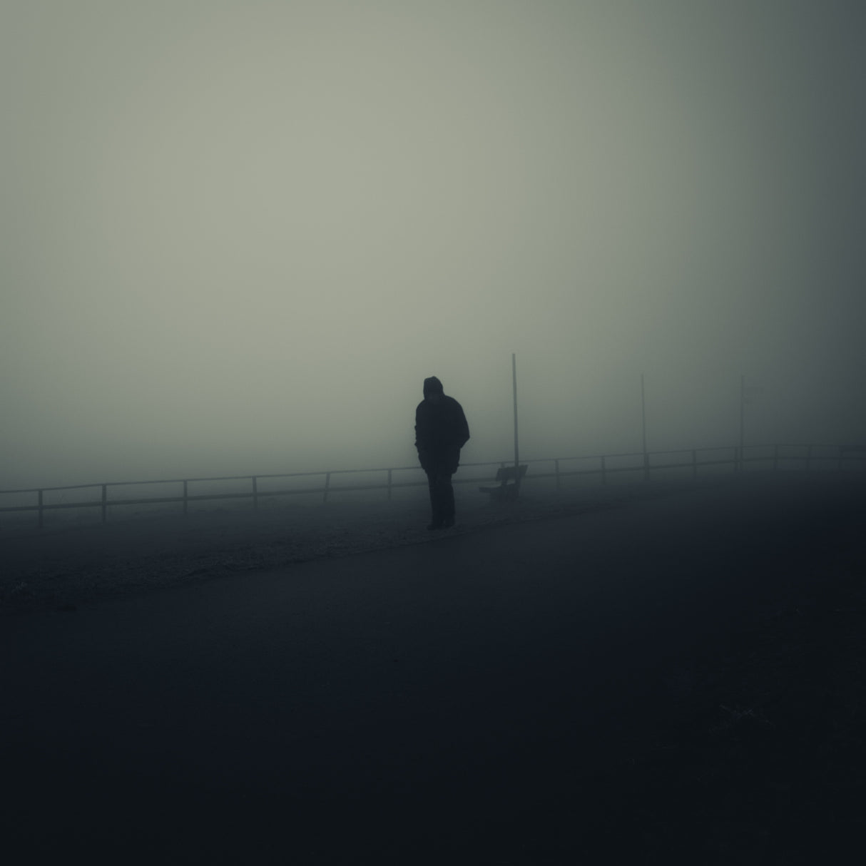Lonely in the fog Poster och Canvastavla