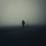 Lonely in the fog Poster och Canvastavla