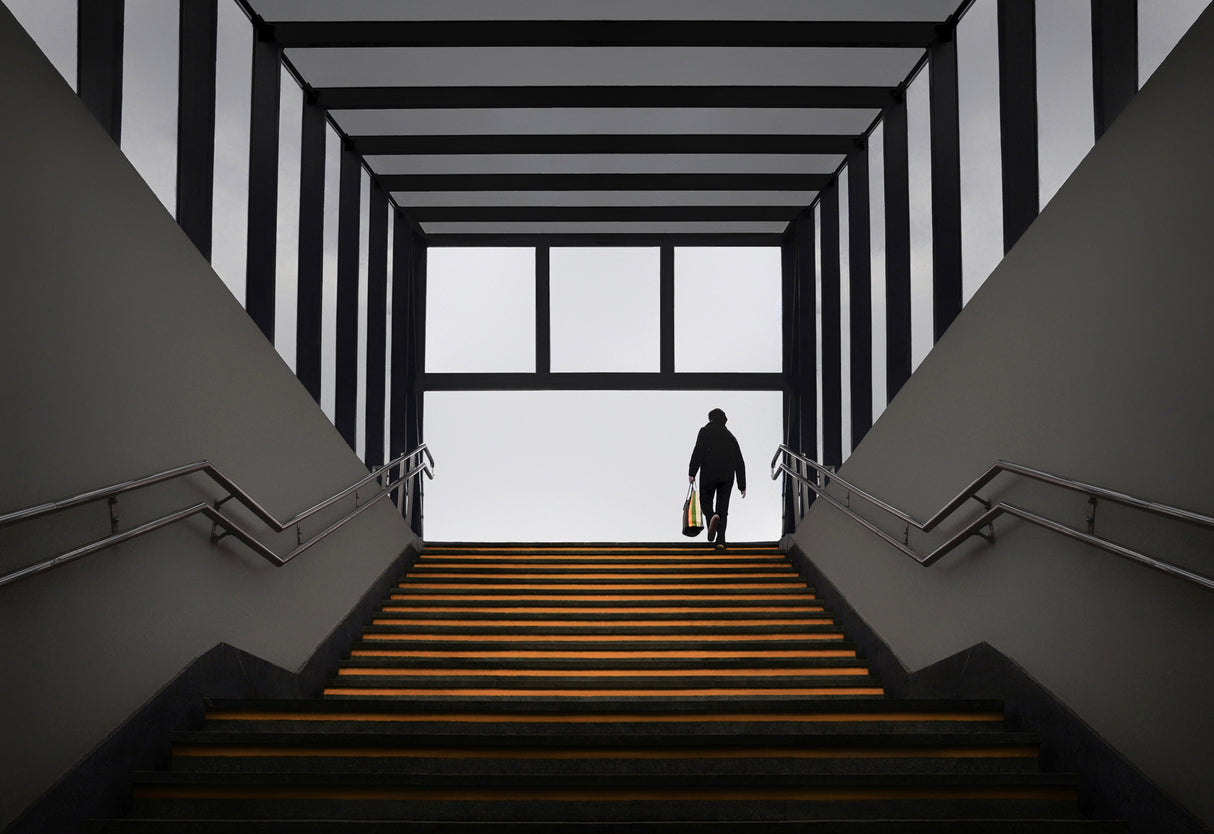 Lines Poster och Canvastavla