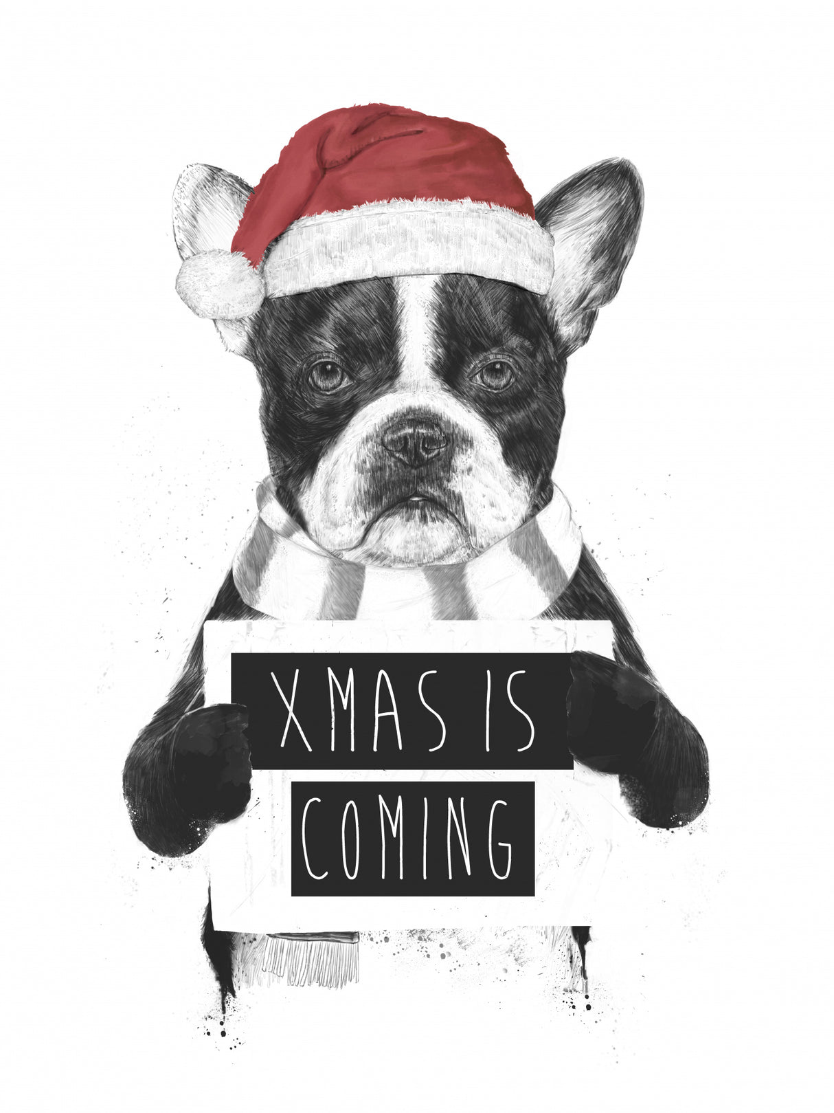 Xmas is coming Poster och Canvastavla