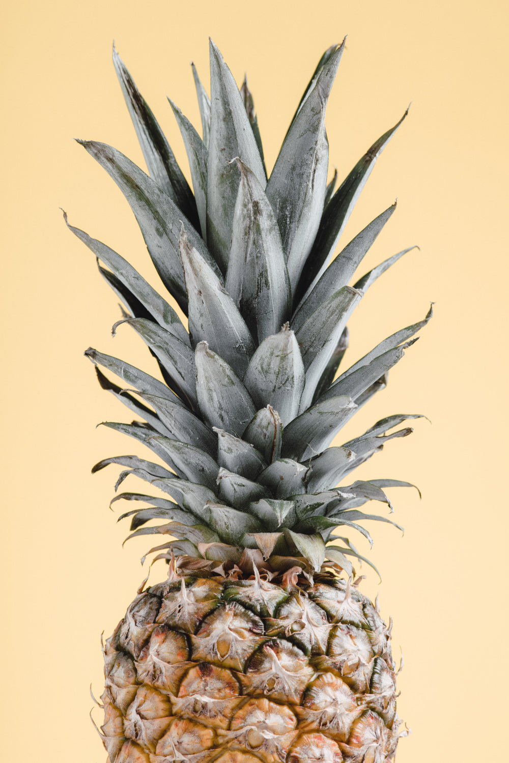 Pineapple Yellow 02 Poster och Canvastavla