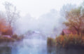 Foggy Mornings on the Lake Poster och Canvastavla