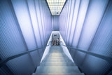 Descent to the toilet Poster och Canvastavla