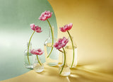 Five tulips Poster och Canvastavla