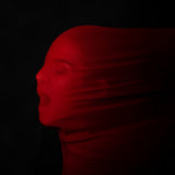 Scream Poster och Canvastavla