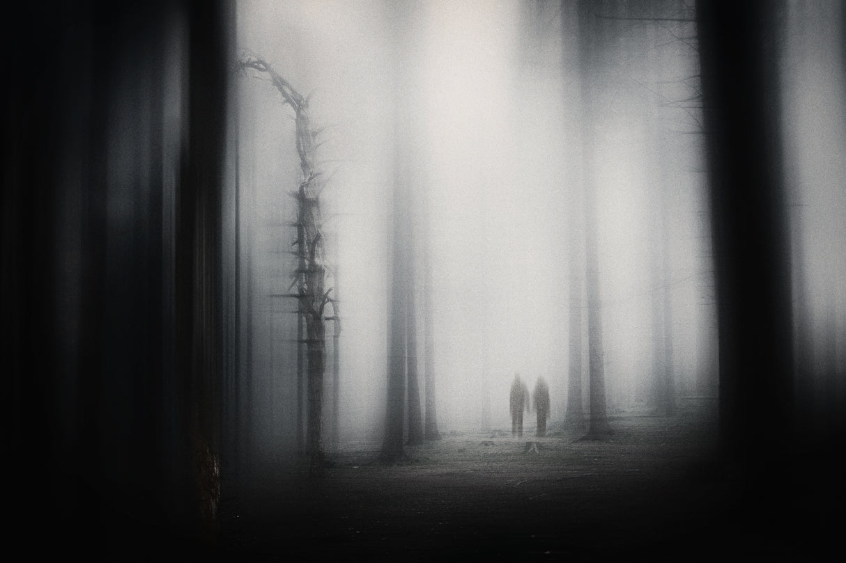 Lost In Eden Poster och Canvastavla