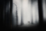 Lost In Eden Poster och Canvastavla