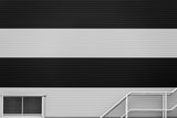 Just Lines Poster och Canvastavla
