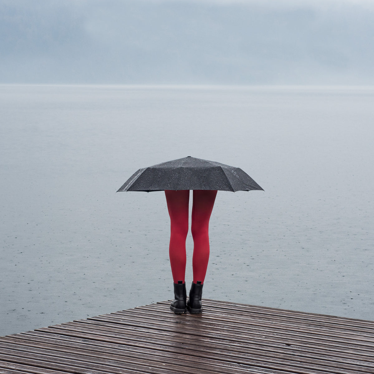 Code red for rain Poster och Canvastavla