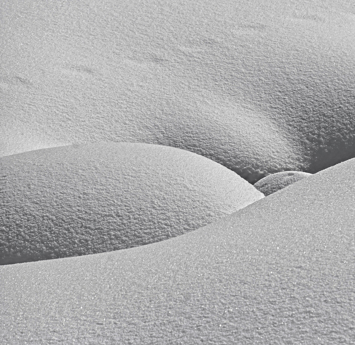 Winter erotica. Poster och Canvastavla