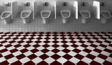 My private toilet... Poster och Canvastavla