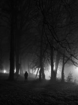Spooky Night Poster och Canvastavla