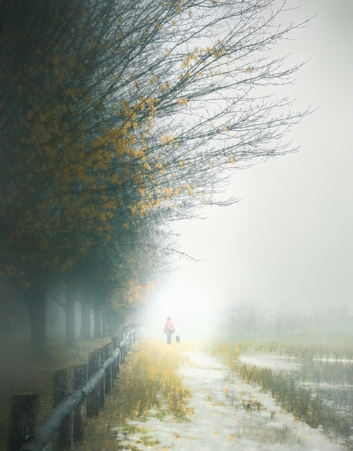Misty Morning Stroll Poster och Canvastavla