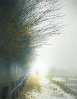 Misty Morning Stroll Poster och Canvastavla