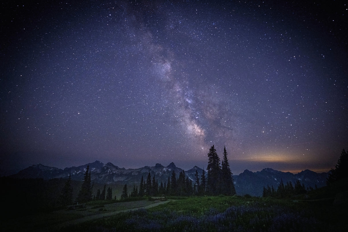 Milky Way in Mt Rainier Poster och Canvastavla