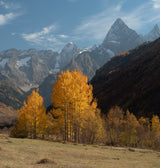 CAUCASIAN AUTUMN Poster och Canvastavla
