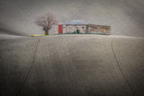 The mulberry tree and the farmhouse Poster och Canvastavla